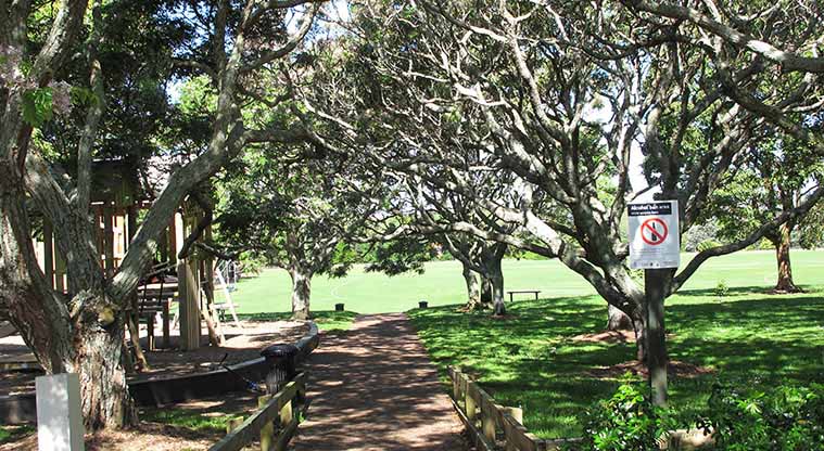 Coast to Coast Path (Grafton to Maungakiekie) – Walking into Melville Park.